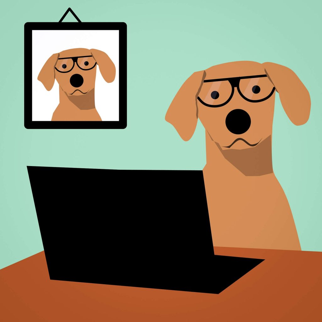 online hundeskole hundetræning